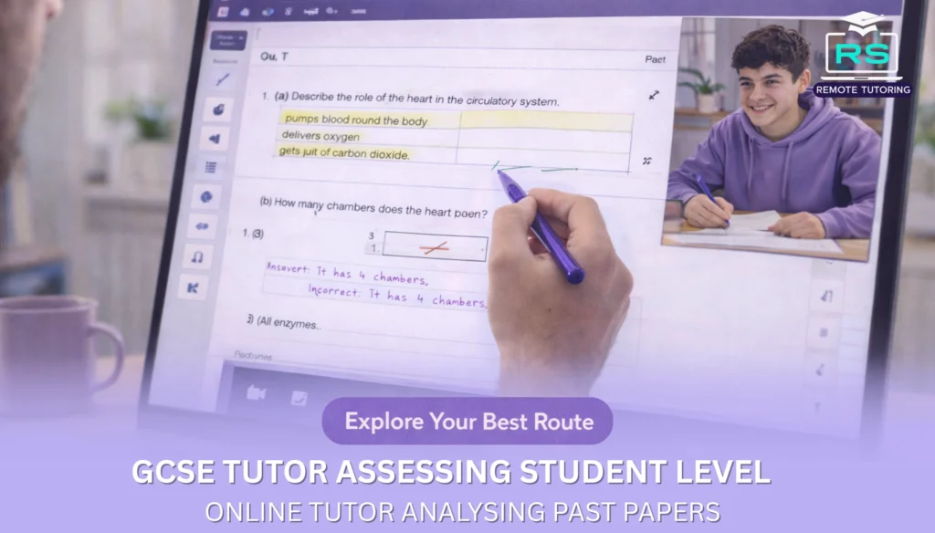 GCSE tutor assessing student level - Online tutor